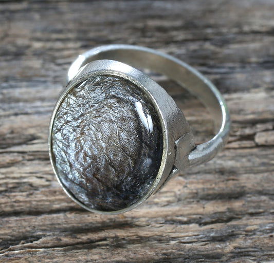 Baltic herring - Ring